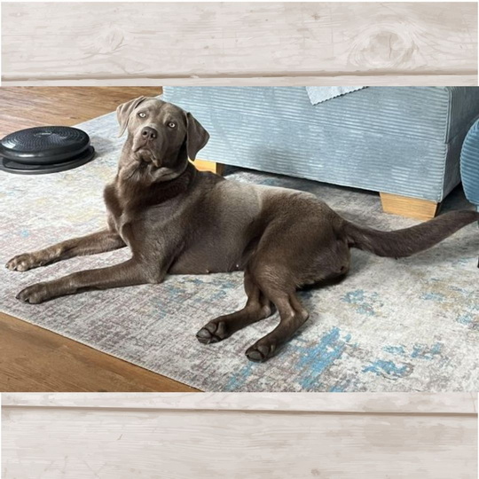 2025_10_06_Osman_Citir